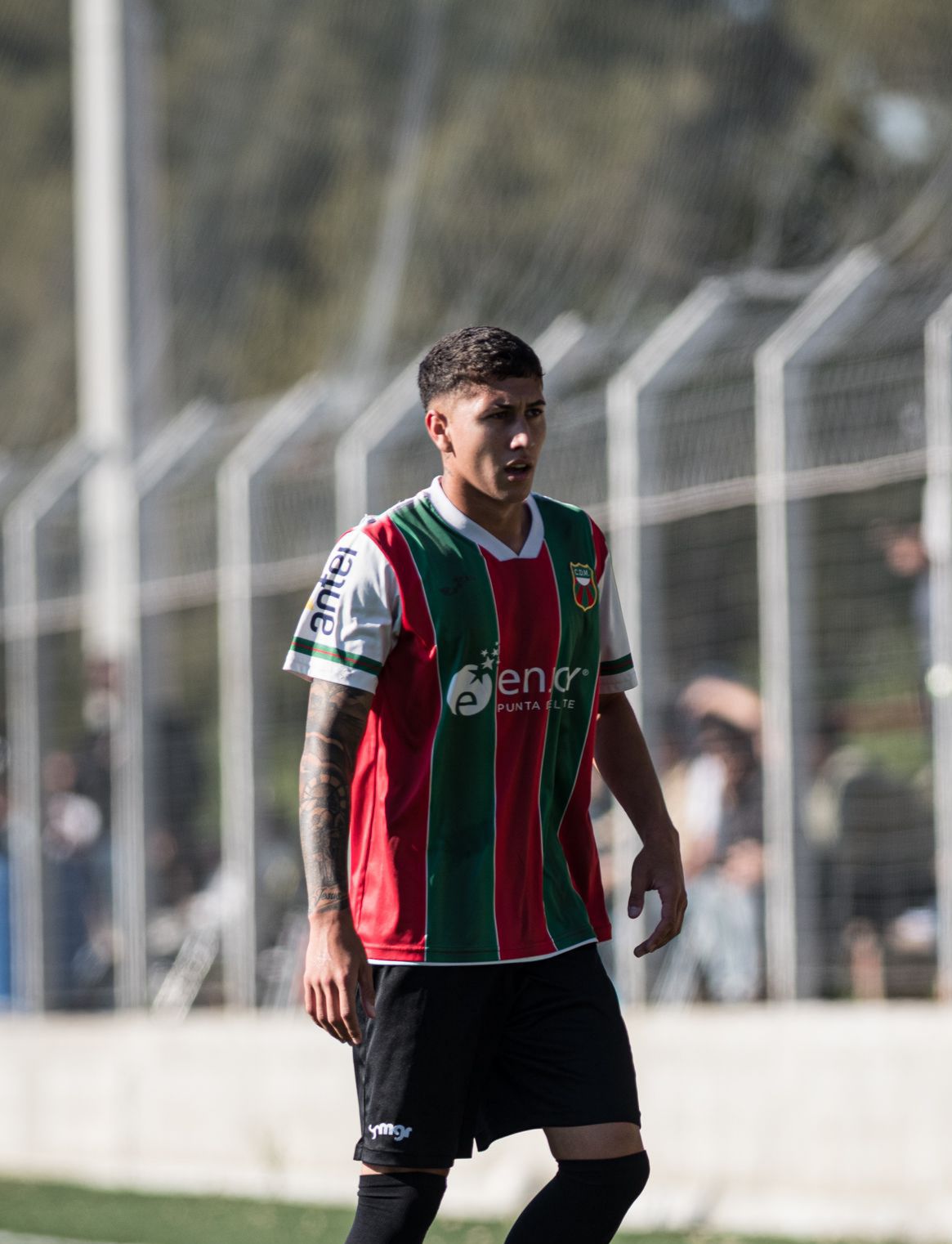 Jaguer Pereira